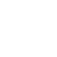 muscle-cell