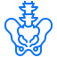 pelvis