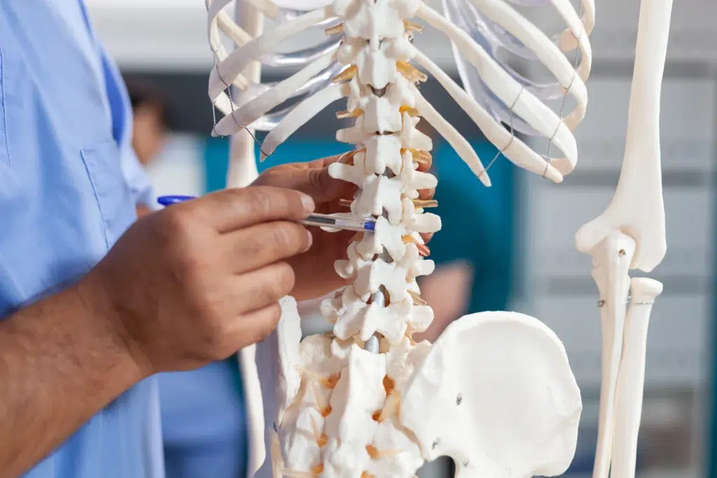 Can a Chiropractor Help With Spondylolisthesis?
