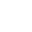 pelvis